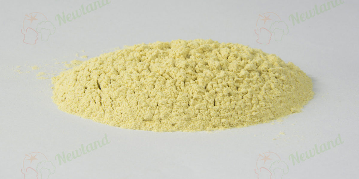 AD Garlic Powder 100Mesh