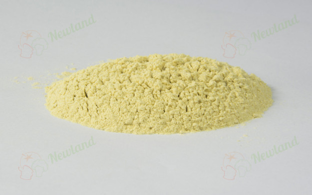 AD Garlic Powder 100Mesh