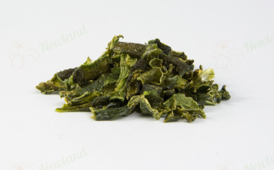 AD Green Jalapeño, Mexican Pepper