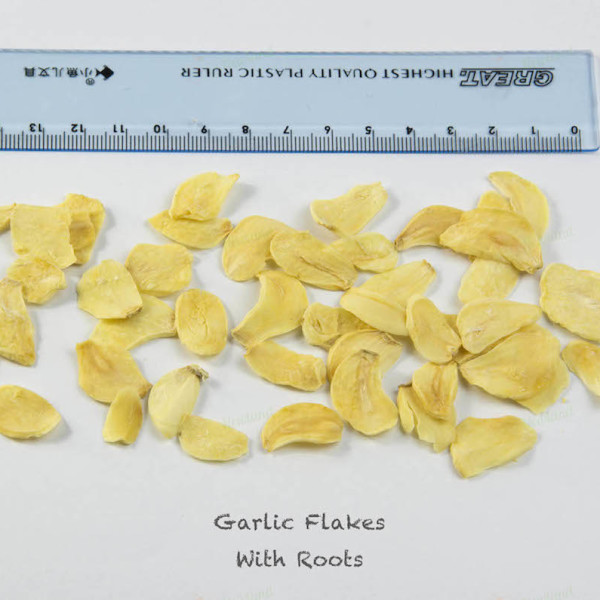 AD Garlic Slices With Roots