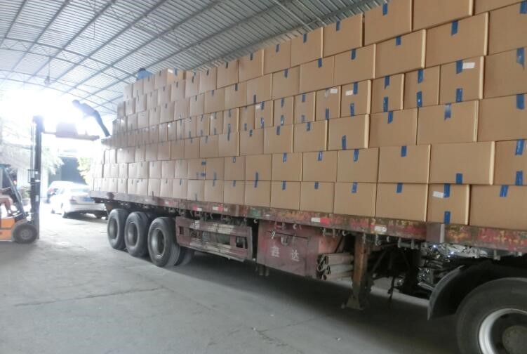 Dehydrated Vegetables market