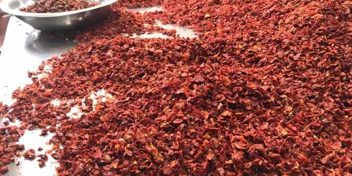 Newland dried tomato flakes on picking table2