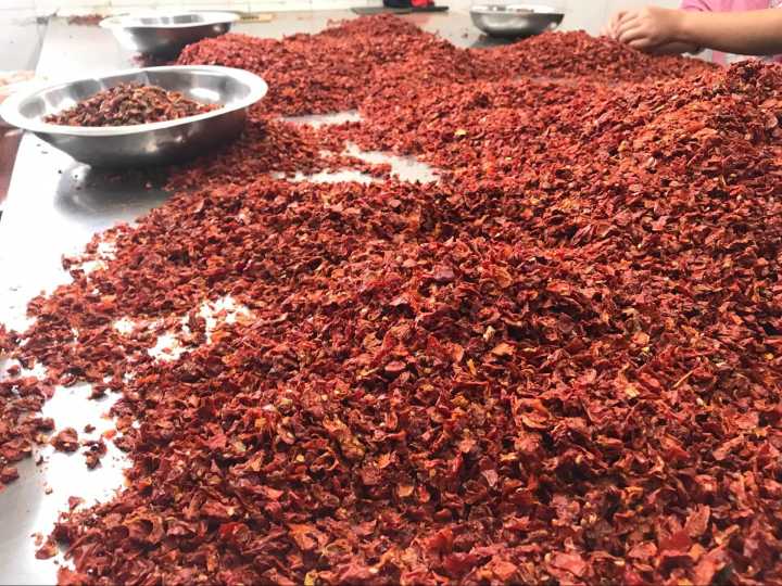 Newland dried tomato flakes on picking table2 Newland dried tomato flakes on picking table2