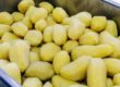 Potatoes Market Expectations, Trends and Analysis