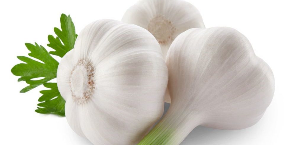 How to forecast garlic price in 2018