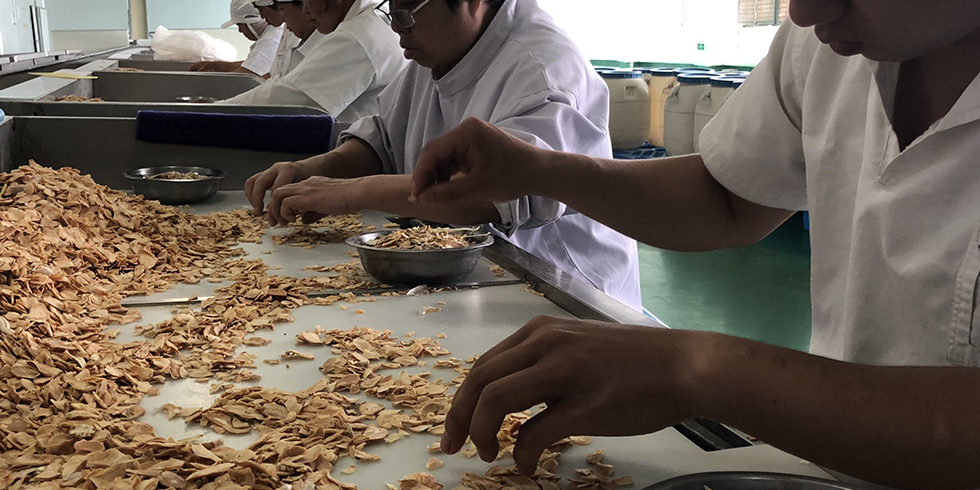 Will The Garlic Price Fall Again?