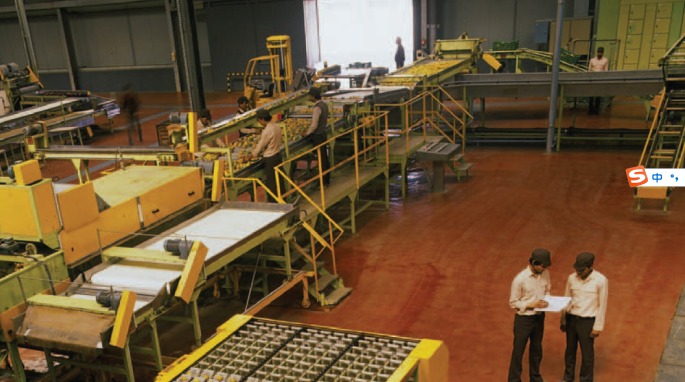 How food processing companies overcome the challenge of the epidemic (Ⅱ)