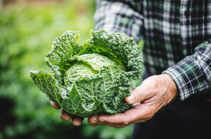 Spring’s Green Surge